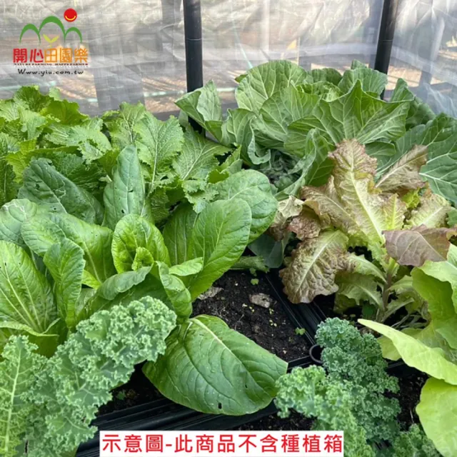 【田園樂】育材六箱防蟲網附接桿*32及拉鍊不含種植箱(90*90種植箱用)