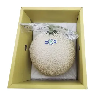 【WANG 蔬果】日本高知縣溫室綠哈密瓜1玉x1盒(約1.5kg/盒_原裝盒)