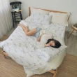 【BUHO布歐】100%TENCEL天絲™床包枕套組-雙人(多款任選)