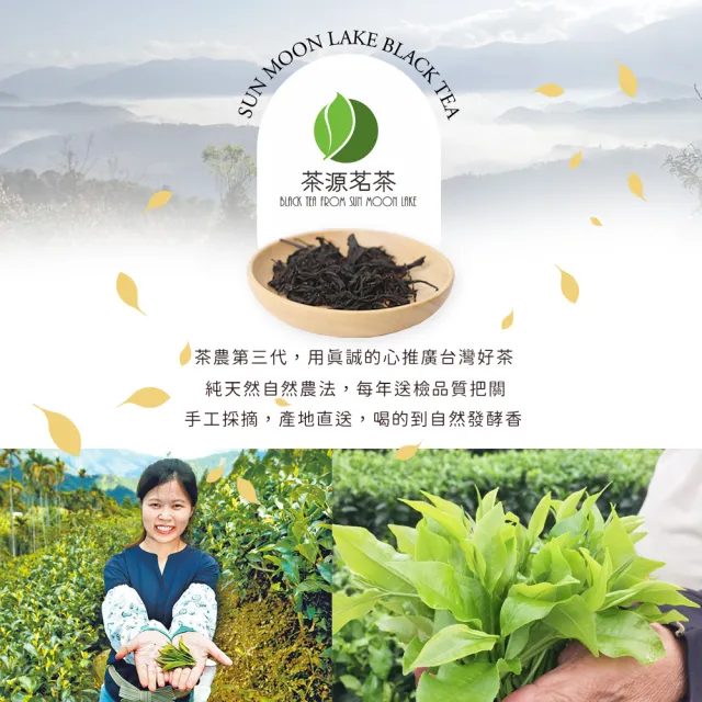 【茶源茗茶】小農直送日月潭紅茶包 禮盒 台茶18 紅玉紅茶包2.5克x50入(中秋禮盒;日月潭紅茶)