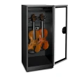 【收藏家】132公升中小提琴專用電子防潮箱 ART-126(可調式掛架/配件收納層板/鏡面印刷玻璃/樂器防潮)