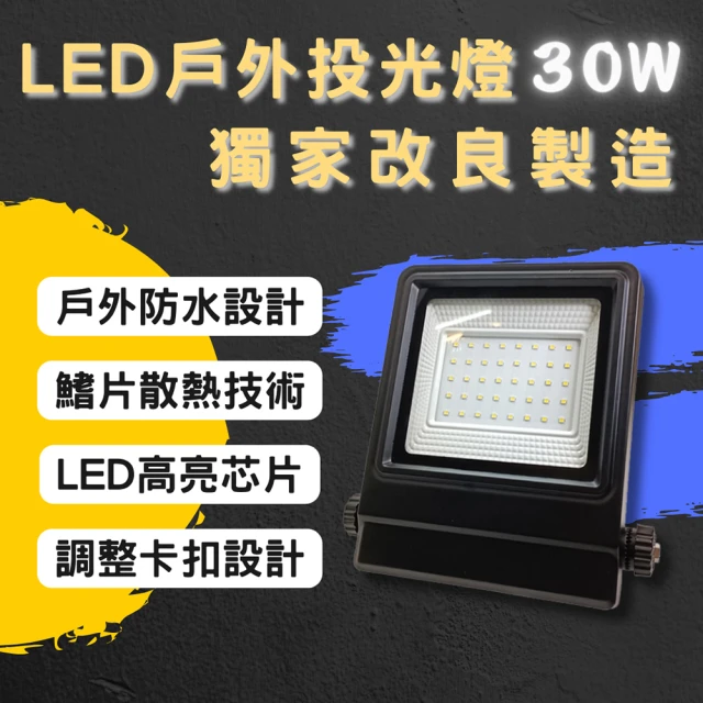 彩渝 LED戶外投射燈 30W(新款上市 投射燈 探照燈 燈具 泛光燈)