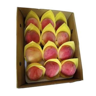 【WANG 蔬果】卡拉部落拉拉山水蜜桃12顆x1盒(1.2-1.4kg/盒_果農直配)