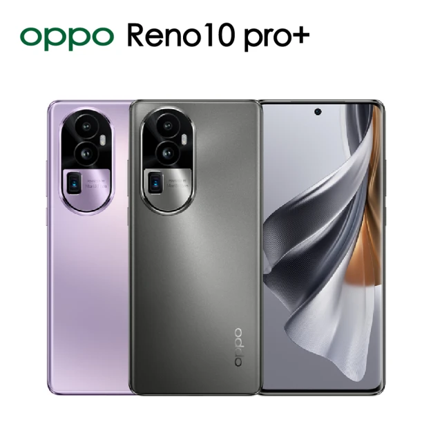 充電雙件組 OPPO Reno10 5G 6.7吋(8G/2