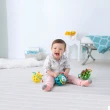 【Skip Hop】官方總代理 E&M響響球鈴(五感玩具 無雙酚A 嬰兒玩具)