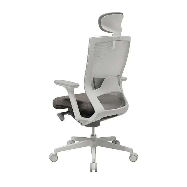 【SIDIZ】T50 高階人體工學椅(5色可選 辦公椅 電腦椅 透氣網椅)