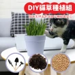【喵汪森林】DIY貓草種植四件組x2入組(買一送一 超值組合/貓草/貓零食)