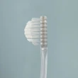 【台隆手創館】日本製齒周護理牙刷-普通硬度(奇蹟牙刷)