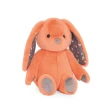 【B.Toys】柑橘糖果兔(玩偶)