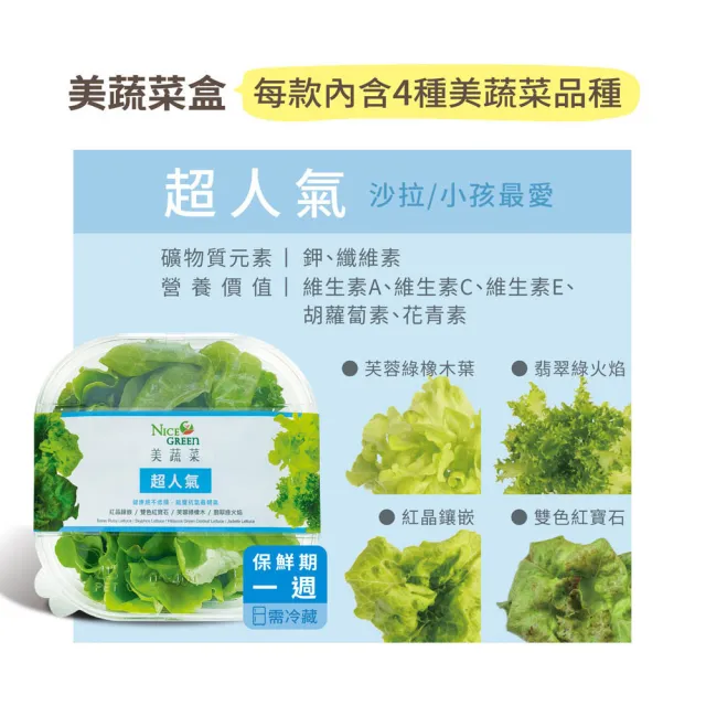 【NICE GREEn 美蔬菜】美蔬菜盒4入含運組送4包沙拉醬(萵苣 生菜 沙拉 蔬菜 防疫健康組)