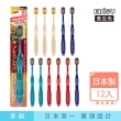 【EBiSU惠百施】極上濃密寬頭牙刷 軟毛 12支入 顏色隨機(日本百年品牌寬頭牙刷專家)