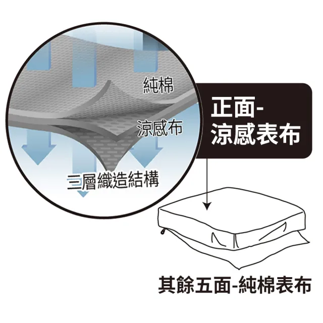 【3M】全面抗蹣涼感防蹣純棉兩用被床包三件組(單人)