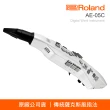 【ROLAND 樂蘭】Aerophone GO AE-05C 數位吹管(保固2年 原廠公司貨)