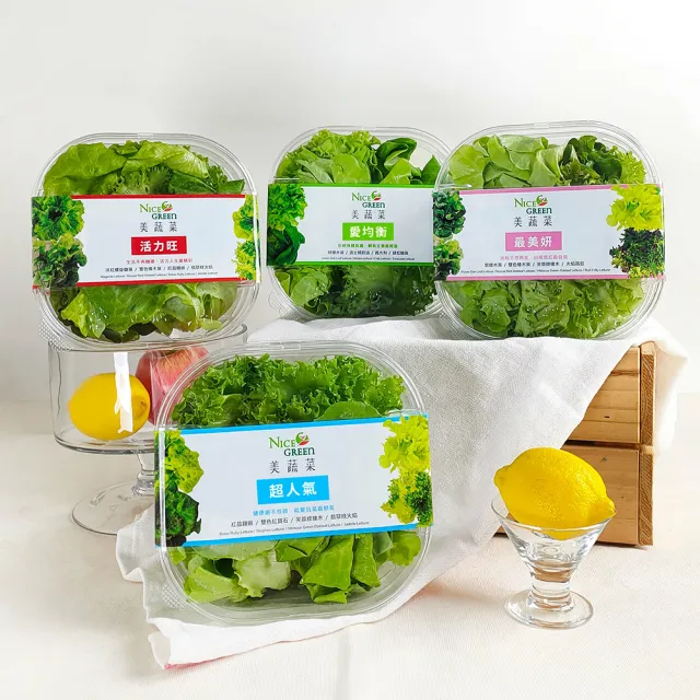 【NICE GREEn 美蔬菜】美蔬菜3入+羽衣甘藍盒3入送3包沙拉醬(生菜 沙拉 蔬菜 萵苣 羽衣甘藍)