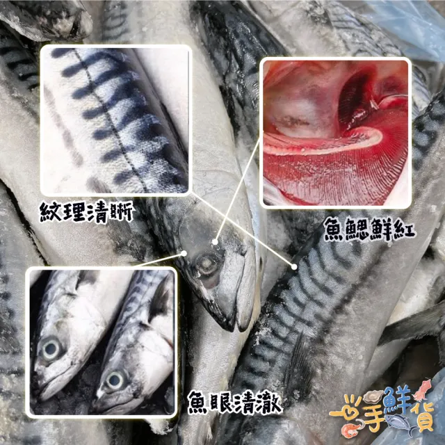 【一手鮮貨】無鹽整尾挪威鯖魚(2尾組/單尾600g-650g/鯖魚)