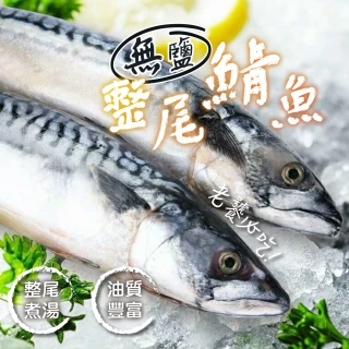 【一手鮮貨】無鹽整尾挪威鯖魚(4尾組/單尾600g~550g/鯖魚)