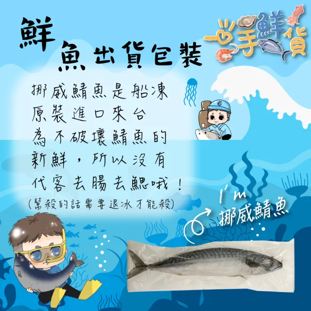 【一手鮮貨】無鹽整尾挪威鯖魚(5尾組/單尾600g-650g/鯖魚)