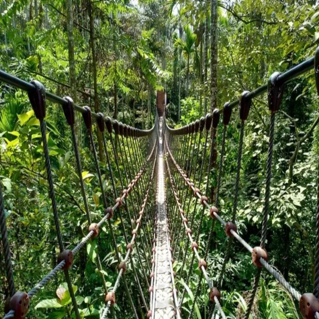 【吉航旅遊】小琉球島上蜂巢蝦桶窯雞琉球牽絲起司捲麻花捲DIY洋樓蘇宅旅店IHG嘉義VOCO三日(二泊五食)