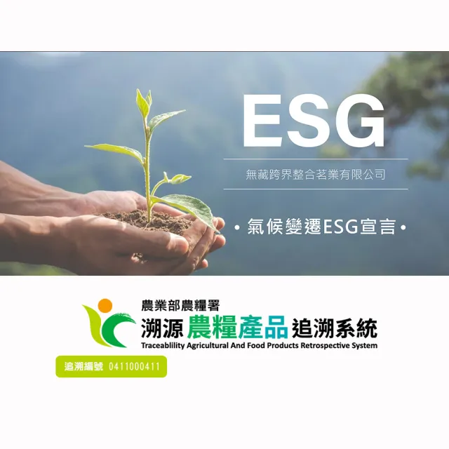 【無藏茗茶】阿里山白毫烏龍-夢想之路100g鐵罐裝(白毫烏龍/阿里山高山茶葉/附提袋)