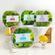 【NICE GREEn 美蔬菜】美蔬菜4盒+萵苣高麗菜豬肉水餃5包(生菜 沙拉 萵苣 豬肉 水餃)