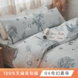 【棉床本舖】100%天絲 四件式兩用被床包組-雙人 台灣製 涼感天絲(多款可選/童趣、奇幻、動物)
