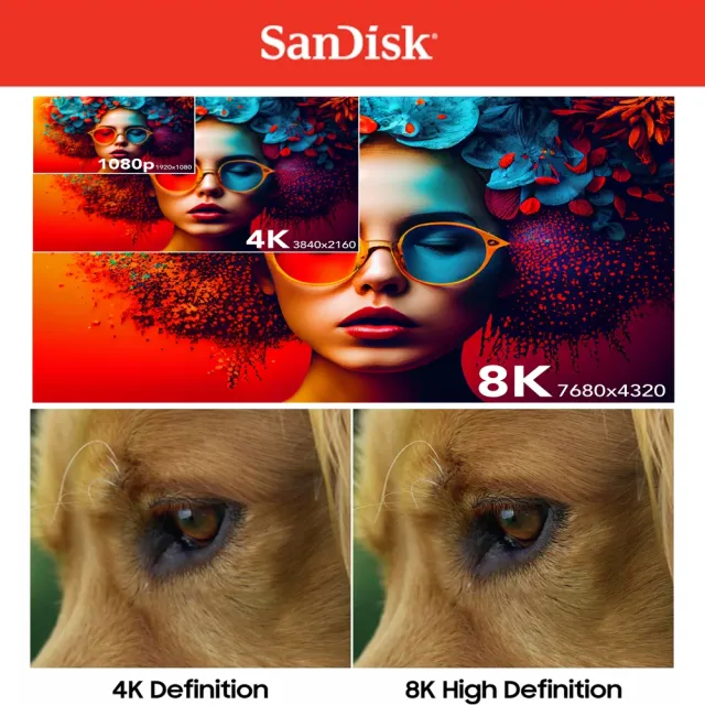 【SanDisk 晟碟】[全新版 再升級] 64GB Extreme PRO SDXC UHS II 記憶卡 280MB/s(專業攝影 原廠永久保固)