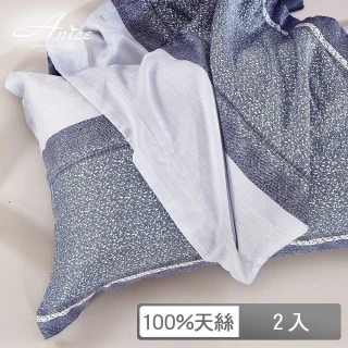 【A-nice】100%天絲 加框枕套/多款任選(一對兩入 /  TE)
