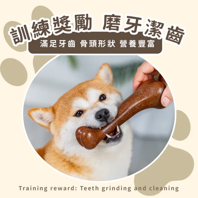 牛肉香固齒耐磨潔牙骨(磨牙 仿真 幼犬 狗牙刷 牙結石 牙齒清潔 獎勵 寵物玩具球 狗狗玩具 訓練玩具)