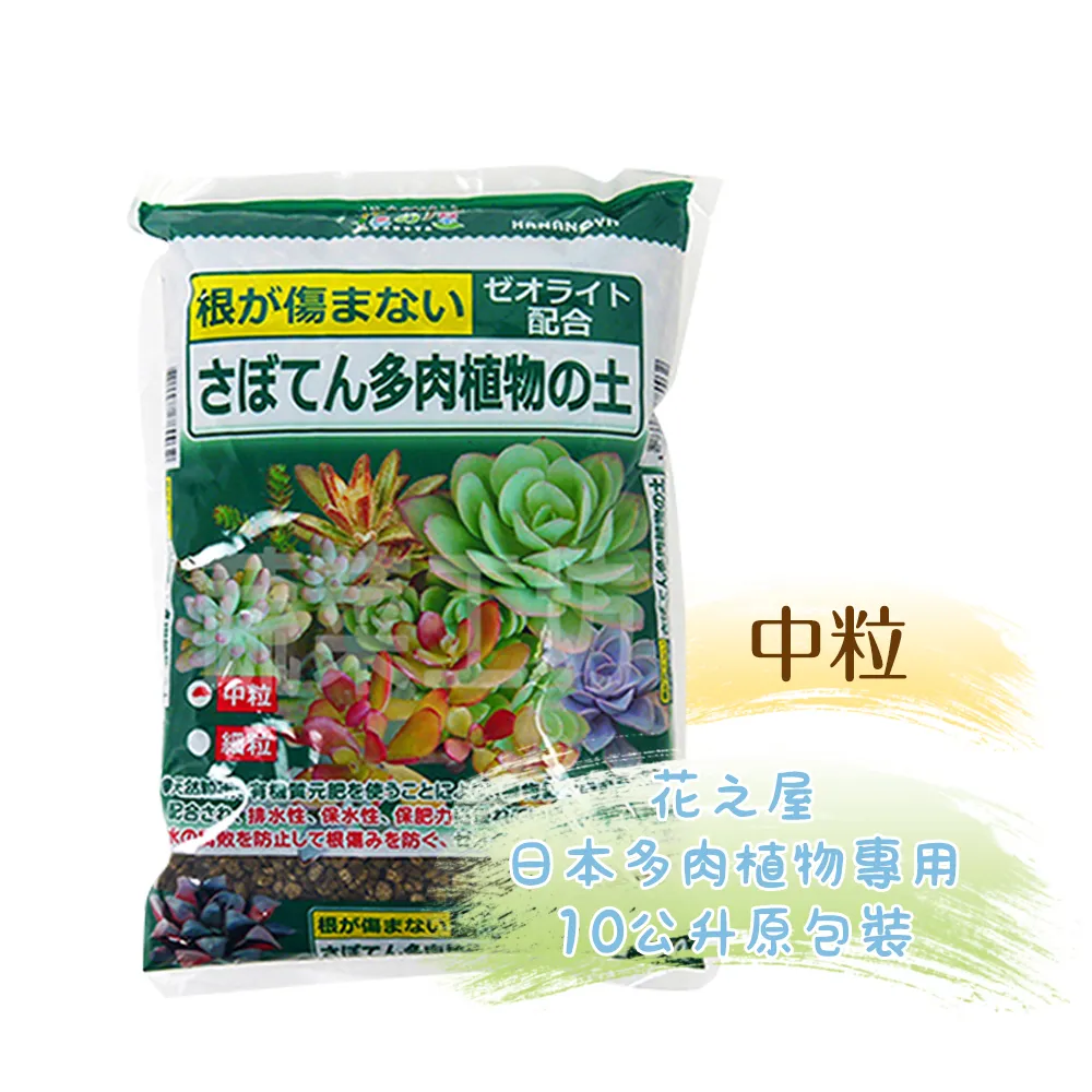 【蔬菜工坊】花之屋日本多肉植物專用10公升原包裝 - 中粒