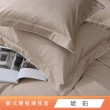 【HongYew 鴻宇】500織 SUPIMA匹馬棉 素色 歐式壓框薄枕套-多款任選(2入)