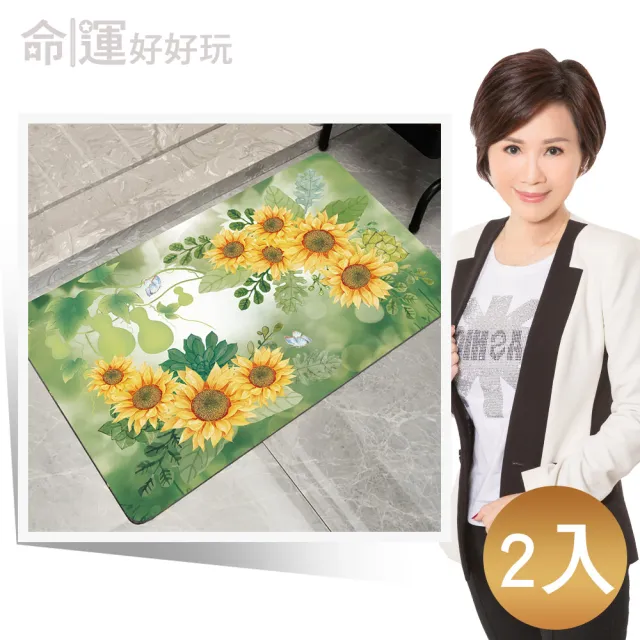 【命運好好玩】李玉珮-九星向陽硅藻土地墊(2入)