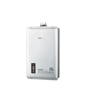 【SAKURA 櫻花】16公升強制排氣DH1605熱水器FE式NG1/LPG(DH-1605A基本安裝)