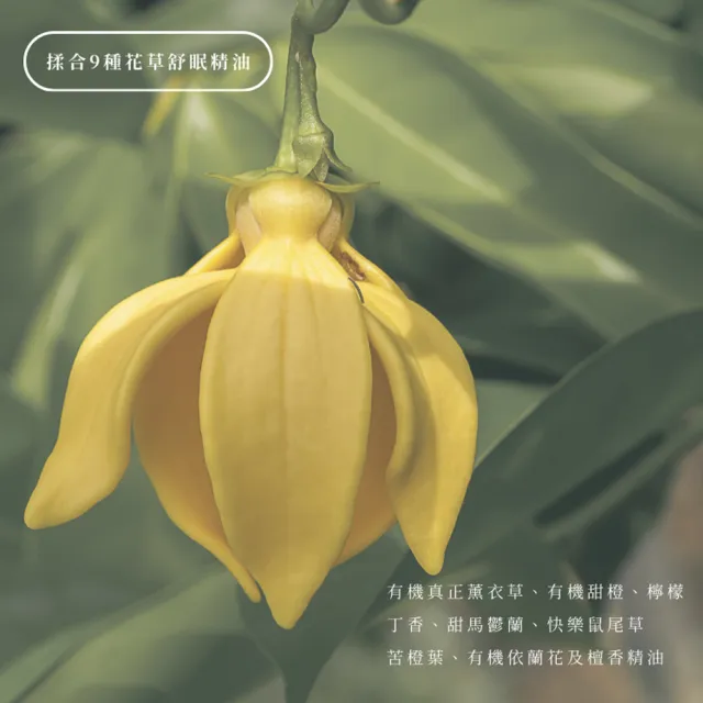 【PERFUN】頂級精油空氣香氛噴霧-Venus維納斯星辰(50ml-舒眠噴霧/環境香氛/衣物香氛)
