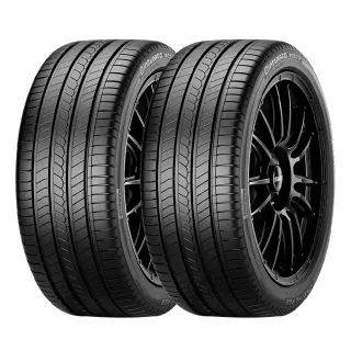 【PIRELLI 倍耐力】ROSSO 里程/效率 汽車輪胎 二入225/50/17 適用車款(安托華)