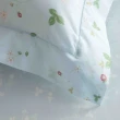 【WEDGWOOD】義大利貝比紗印花 被套枕套組-野草莓之舞 水青色(加大)