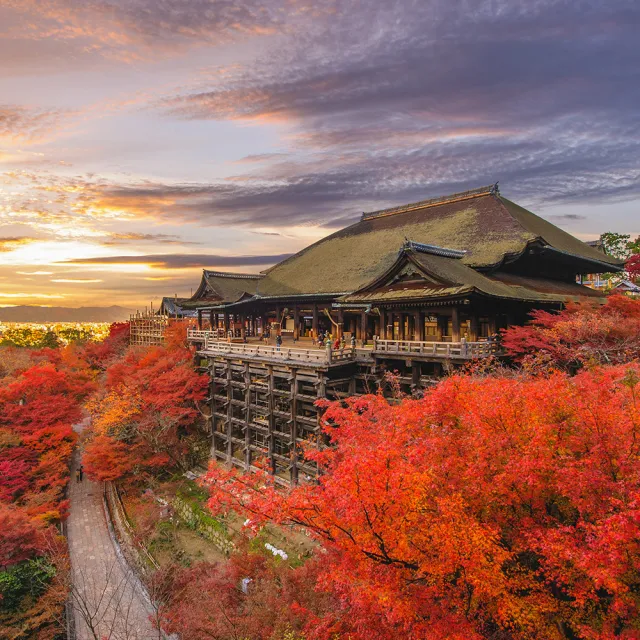 【喜鴻假期】享食楓紅絕景．關西5日~神戶纜車、光明寺、螃蟹吃到飽、溫泉