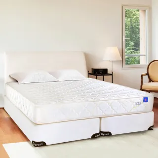 【德泰 索歐系列】奢華900 彈簧床墊-雙大6尺(送保潔墊)