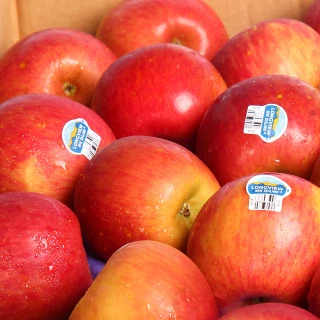 【愛蜜果】紐西蘭富士蘋果8顆禮盒x1盒(約2公斤/盒_一級)