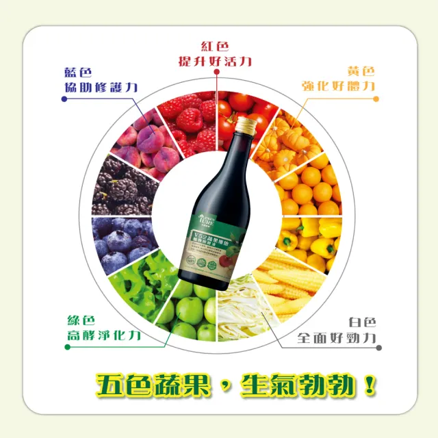 【大漢酵素】V52蔬果植物醱酵液3入組(600ml/瓶)-低鈉低鉀 52種蔬果精華 酵素 順暢 全素(原廠出貨)