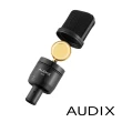 【AUDIX】A131 電容式麥克風(公司貨)