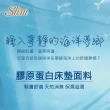 【SLIM海洋系】膠原蛋白/零度棉/乳膠蜂巢獨立筒床墊(雙人加大6尺)