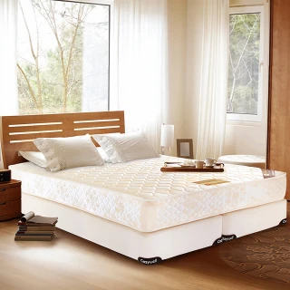 【德泰】五星級飯店款 彈簧床墊-單人3尺+Oleles 歐萊絲 乳膠QQ枕(送保潔墊)