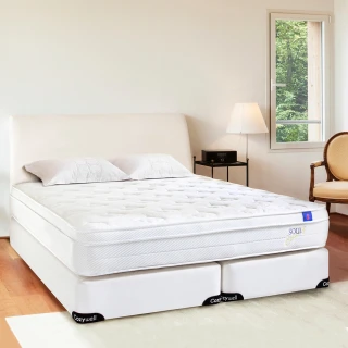 【德泰 索歐系列】乳膠620 彈簧床墊-單人3尺(送緹花枕)
