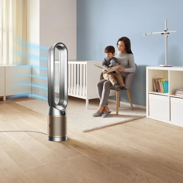 【dyson 戴森】TP09 Purifier Cool Formaldehyde 二合一甲醛偵測空氣清淨機循環風扇(鎳金色)二入組(超值組)