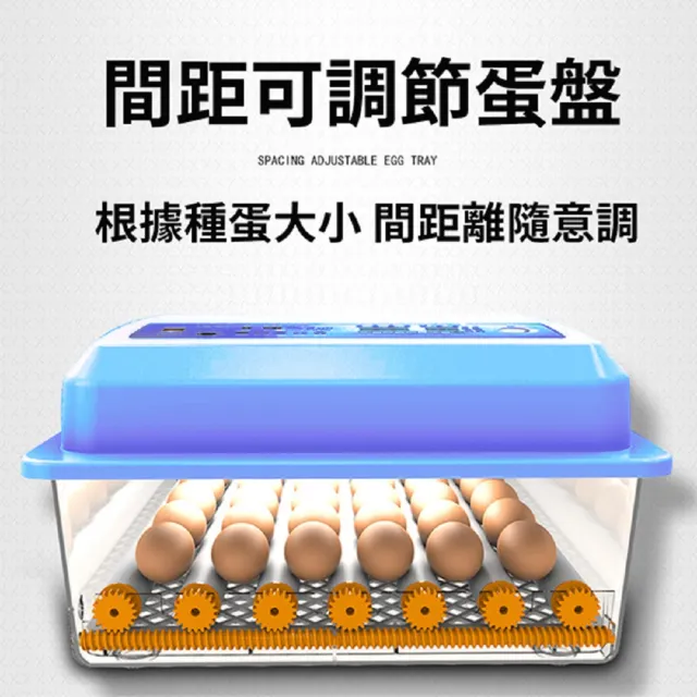 【佳裕】110V孵化機 36枚孵蛋器 自動翻蛋(雙電源可接12V全自動控溫 小雞孵化器)