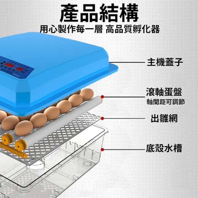 【佳裕】110V孵化機 36枚孵蛋器 自動翻蛋(雙電源可接12V全自動控溫 小雞孵化器)