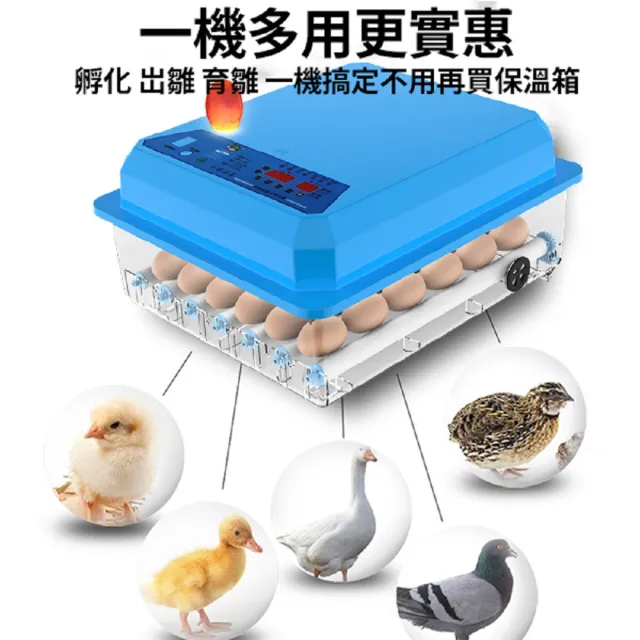 110V孵化機 36枚孵蛋器 自動翻蛋(雙電源可接12V全自動控溫 小雞孵化器)