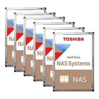 【TOSHIBA 東芝】(6入組) N300系列 10TB 3.5吋 7200轉 256MB NAS 內接硬碟(HDWG11AAZSTA)