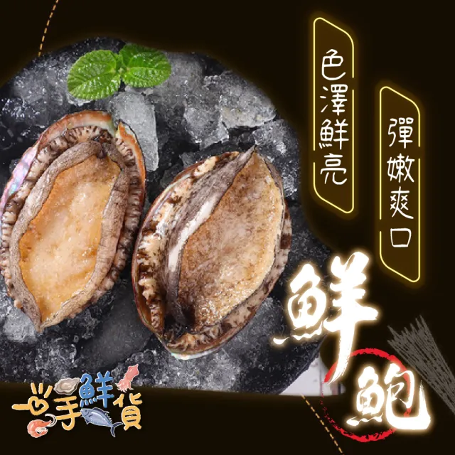 【一手鮮貨】熟凍半殼鮑魚(2包組/單包28顆/帶殼鮑魚)