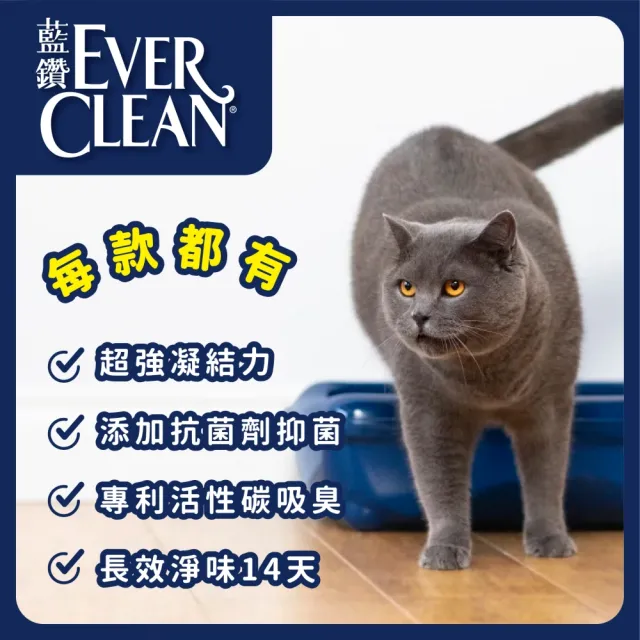 【EverClean 藍鑽】強效凝結除臭貓砂10L(歐規)